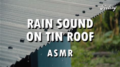 Healing Rain Sound On Tin Roof (ASMR) 雨滴落在屋顶的声音疗愈 - YouTube