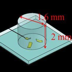 (a) A photograph of the MEMS sensor, and (b) a schematic illustration ...