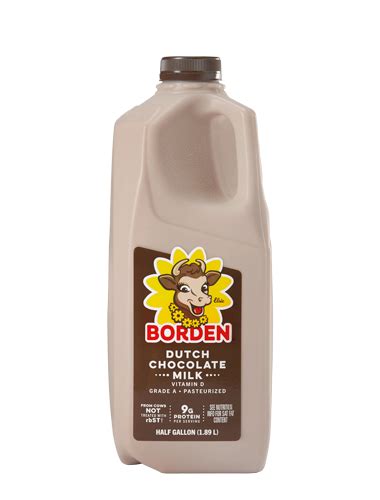 Dutch Chocolate Milk - Borden Dairy