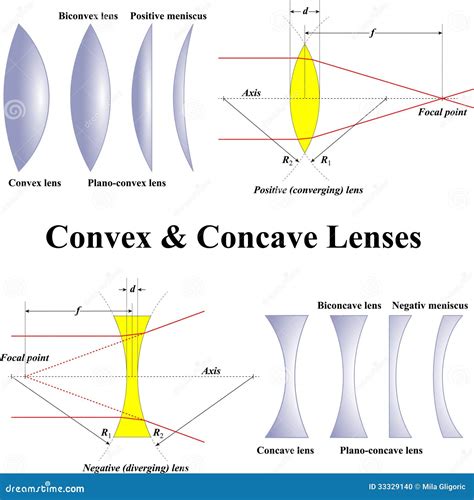 Convex And Concave Lens, Vector Illustration Diagrams | CartoonDealer ...