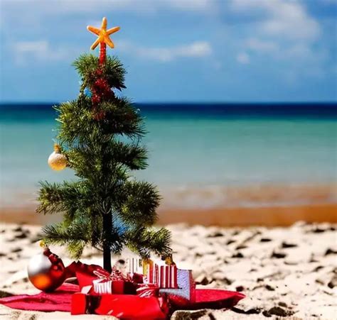 Christmas in Australia: Facts About Australian Christmas Traditions ...