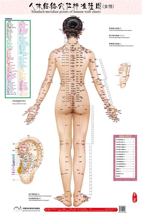 Pressure Point Chart English