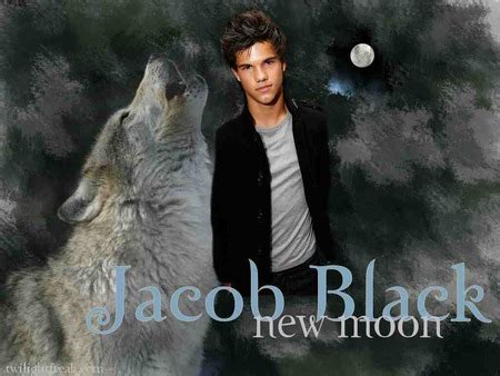 jacob black werewolf - Movies & Entertainment Background Wallpapers on ...