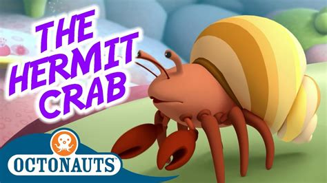 Octonauts - The Hermit Crabs | Full Episode | Cartoons for Kids - YouTube