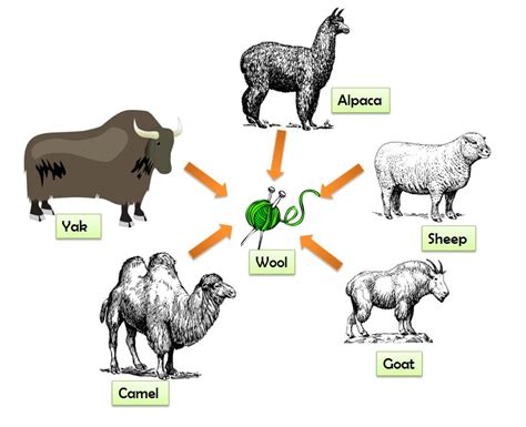 CBSE Papers, Questions, Answers, MCQ ...: Class 7 - Science - CH3 ...