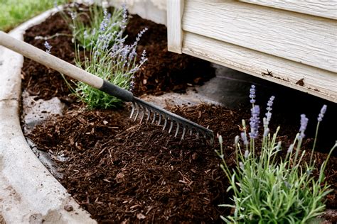 What Is Mulch? How to Use 8 Types in Your Garden