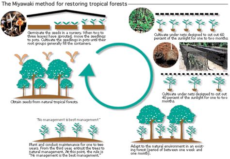 Methods of Forest Conservation - Wildlife Unleashed