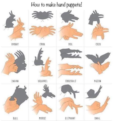 Shadow Hand Puppets Guide : coolguides