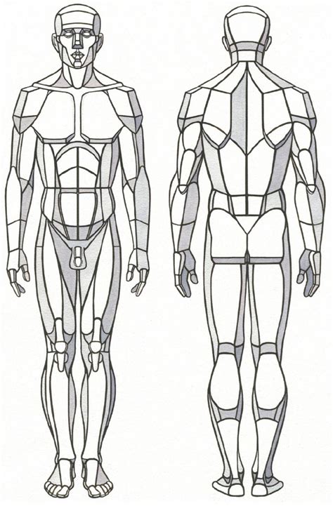 Pin by Karel Wahl on dremel | Human anatomy drawing, Anatomy drawing ...