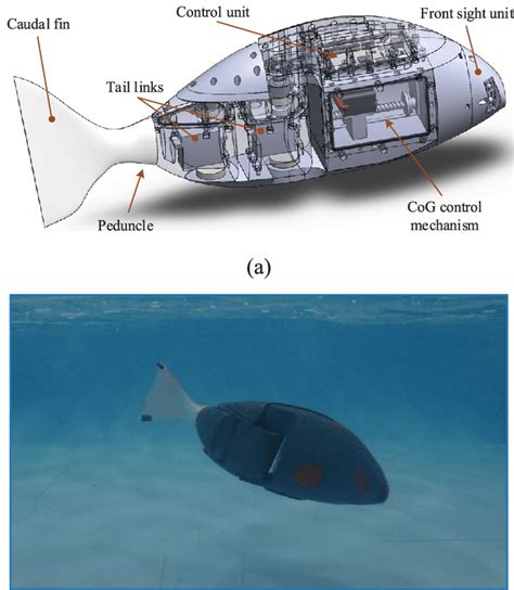 Mechanical and hardware configurations of the robotic fish: (a) Concept ...