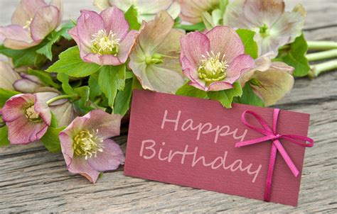 93 Background Happy Birthday Flowers Images - MyWeb