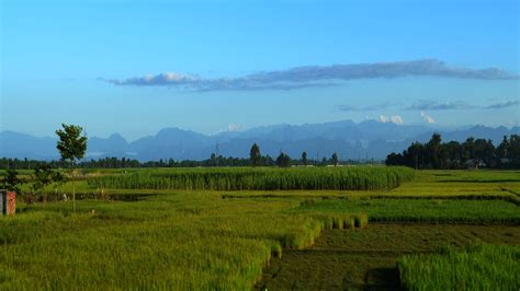 Himal Pahad Tarai | Nepali Walls