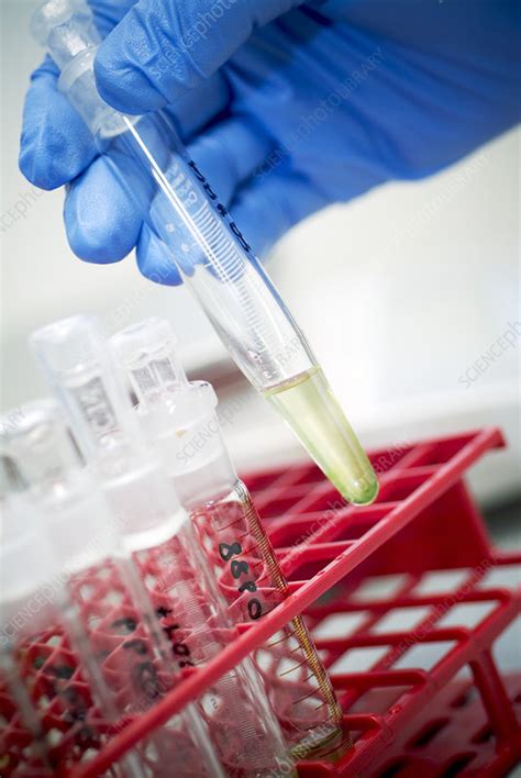 Pesticide residue analysis - Stock Image - E840/0375 - Science Photo ...