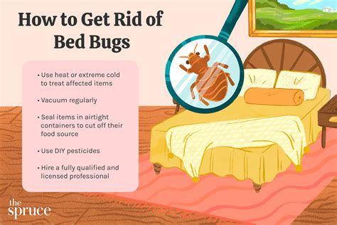 How to Get Rid of Bed Bugs