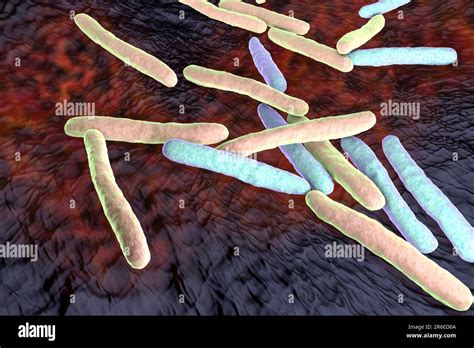 Tuberculosis bacteria. Computer artwork of Mycobacterium tuberculosis ...