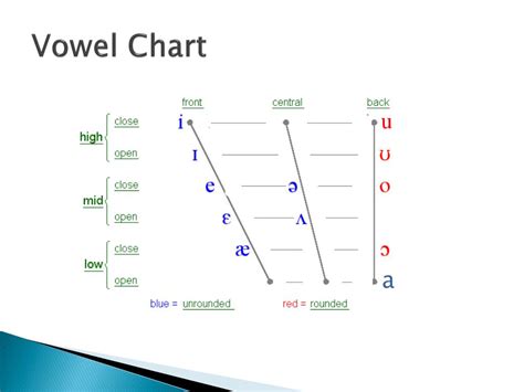 Phonetic Vowel Sounds Chart Fundations - IMAGESEE