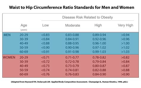 Hip to waist ratio - YSFitnessTests