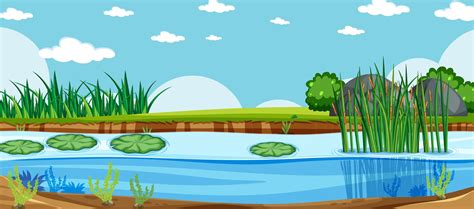 Pond Background Vector Art, Icons, and Graphics for Free Download