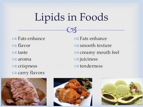 50+ Examples Foods That Have Lipids Background | Foods In The World