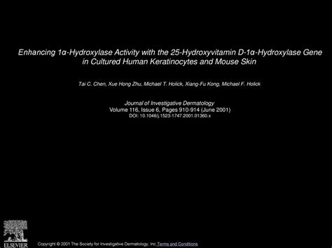 Enhancing 1α-Hydroxylase Activity with the 25-Hydroxyvitamin D-1α ...