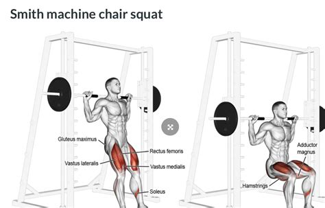 Smith Machine Chair Squat — Tristar Athletes