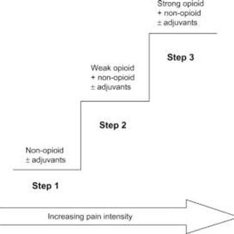 The 'pain ladder', as developed by the World Health Organization ...