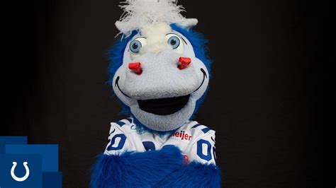 Colts Mascot Blue Biography | Indianapolis Colts - colts.com