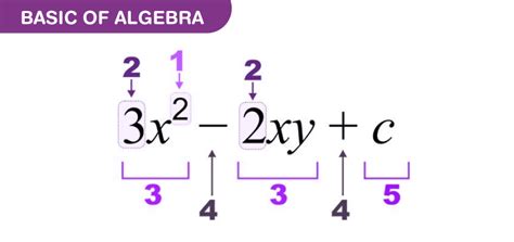 Basic Of Algebra