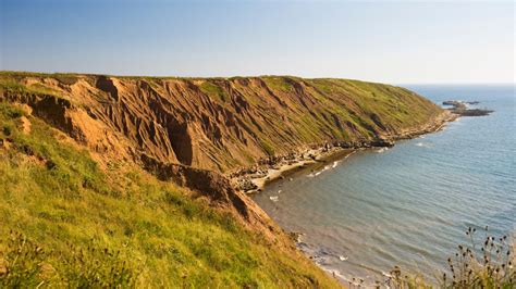 Filey Brigg, All You Need To Know | The Whitby Guide