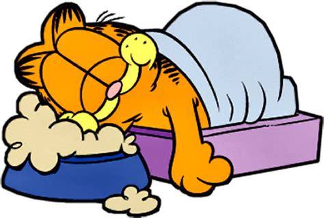 Garfield Sleeping | Garfield cartoon, Garfield cat, Garfield and odie