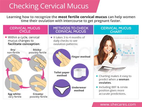 Checking Cervical Mucus | Cervical mucus, Cervical mucus method, Mucus