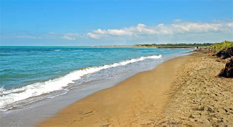 Visiting the Nature Reserve Saline di Tarquinia | Port Mobility ...