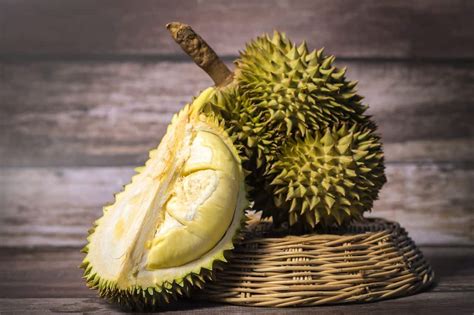 Durian Fruit - Diet, Advantages, and Aspect Results – Team JiX