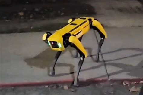 Check out Boston Dynamics' AI robot dog taking a walk in Canada