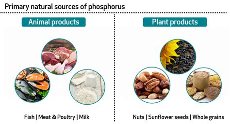 Vitamin B9 Natural Sources | Sources Of Phosphorus In Food