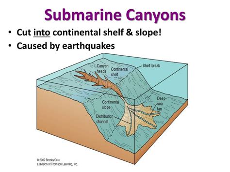 PPT - Features of the Ocean Floor (Bathymetry) PowerPoint Presentation ...