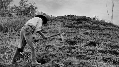 ¿Un nuevo escenario para los derechos de los campesinos en Colombia ...