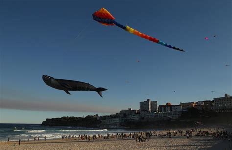 Australia's largest kite flying festival - Photo 13 - CBS News