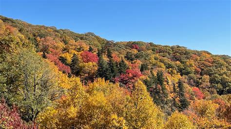 Fall Foliage - Blue Ridge Parkway in North Carolina! From Boone to ...