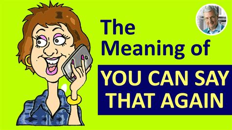 YOU CAN SAY THAT AGAIN - Meaning & Sentence Examples