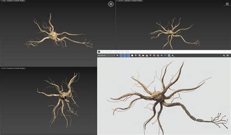 3D Nerve Cell - TurboSquid 1963109