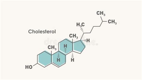 Structural Chemical Formula of Cholesterol. Infographics Illustration ...