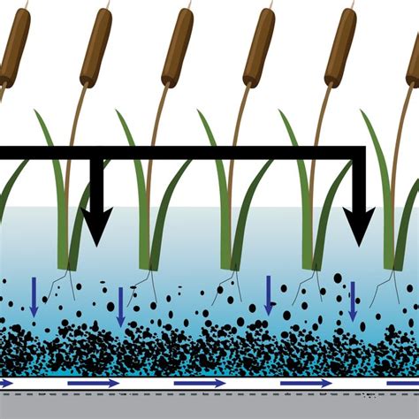 Horizontal subsurface flow CW. | Download Scientific Diagram