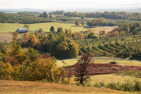 The Ultimate Guide to Pennsylvania's Best Fall Foliage Destinations