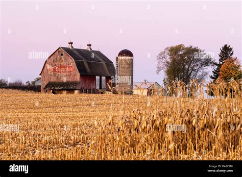 Red barn with Sugardale Farms logo and corn field Stock Photo - Alamy