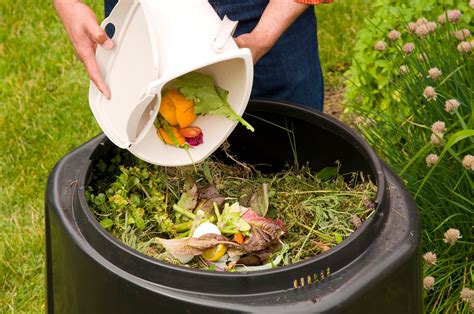 Composting | Metro