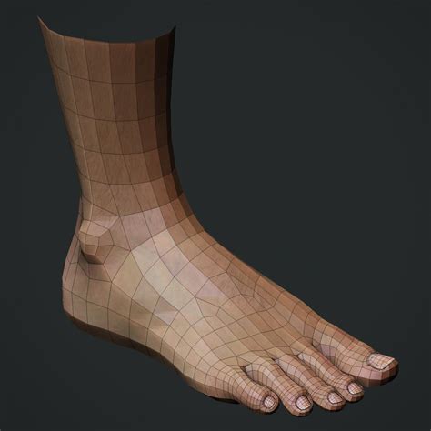 3d model realistic male foot | Human anatomy for artists, Model, Feet