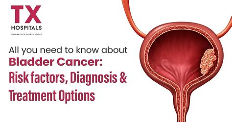 Bladder Cancer Risk Factors, and Treatment Options | TX Hospitals