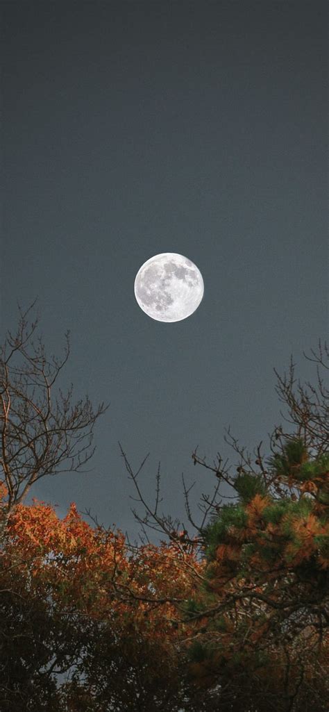 IPhone Moon, ios moon, HD phone wallpaper | Peakpx