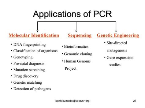 PCR types and applications